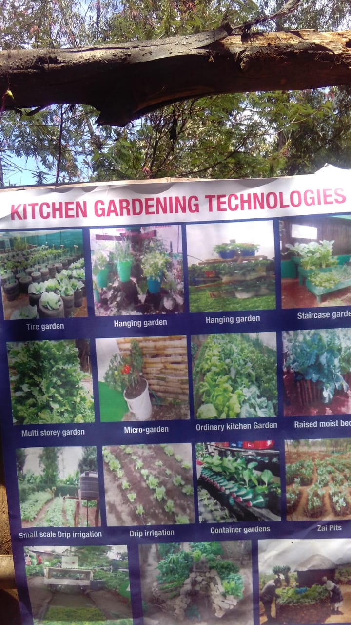 The yet to be adopted kitchen gardening model