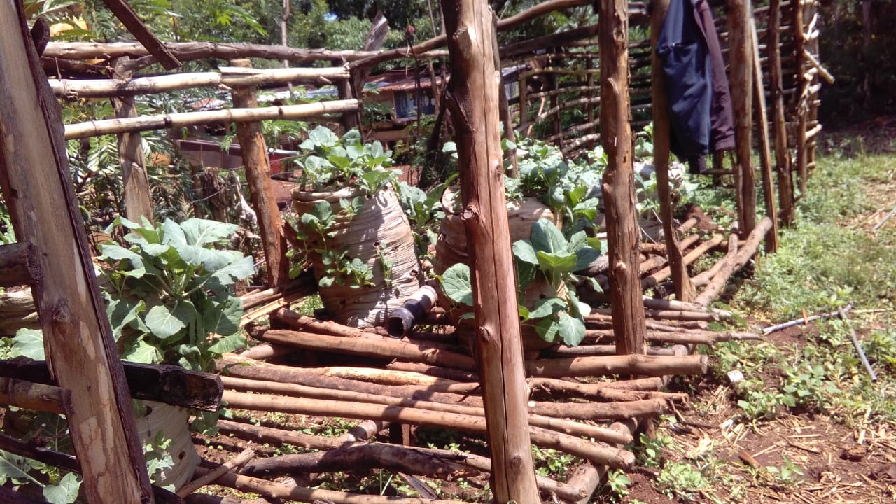 promoting sack gardens